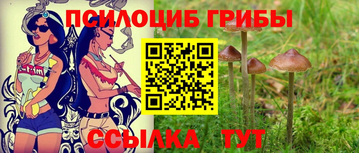 Избербаш  Галлюциногенные грибы Psilocybine cubensis  Вход с VPN  Галлюциногенные грибы GOLDEN TEACHER 