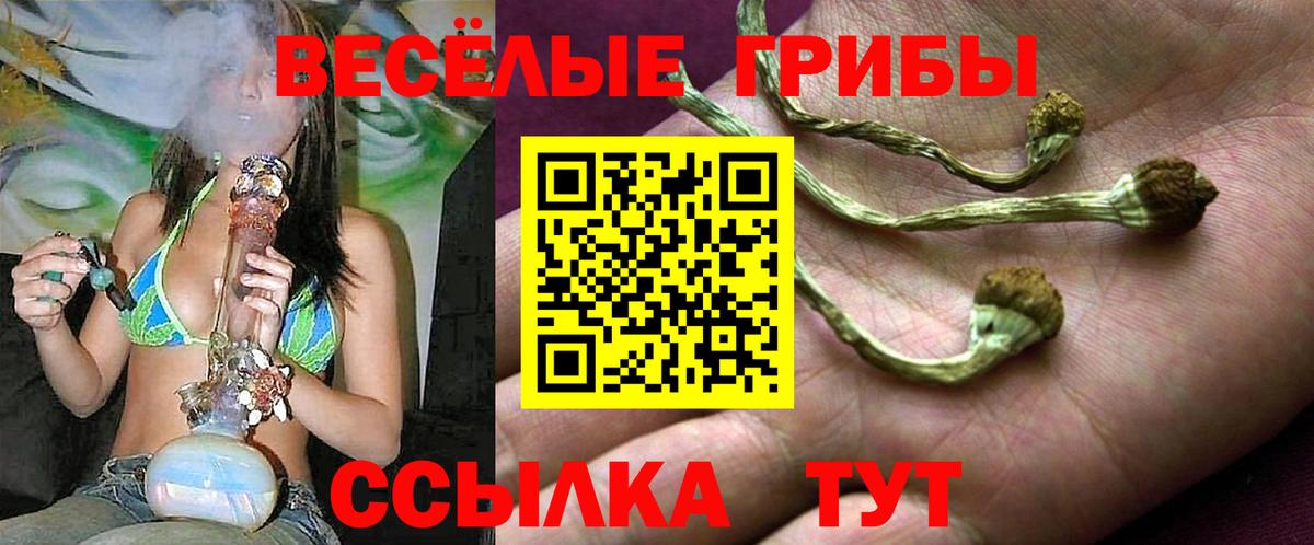 Галлюциногенные грибы MAGIC MUSHROOMS Избербаш